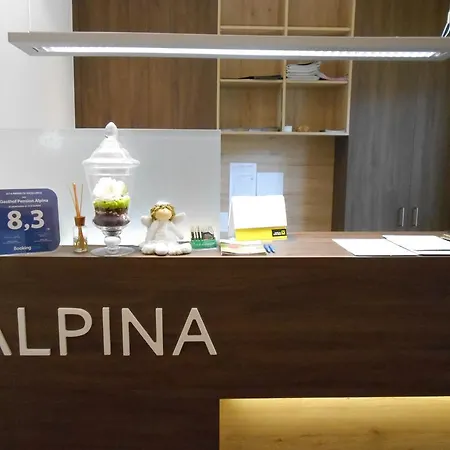 Konukevi Alpina Silz