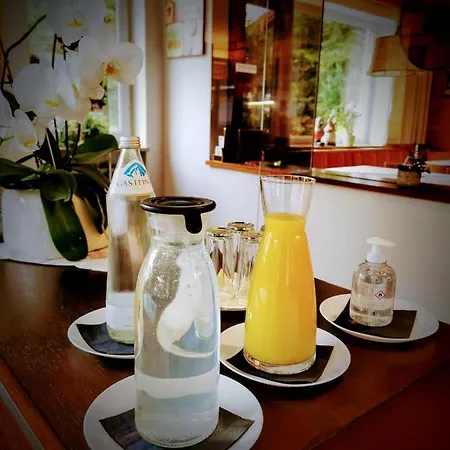 Guest house Alpina