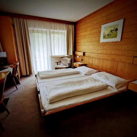 Guest house Alpina 3*