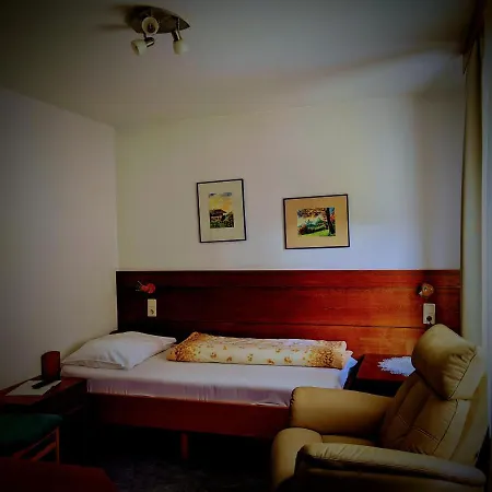 Alpina Guest house 3*