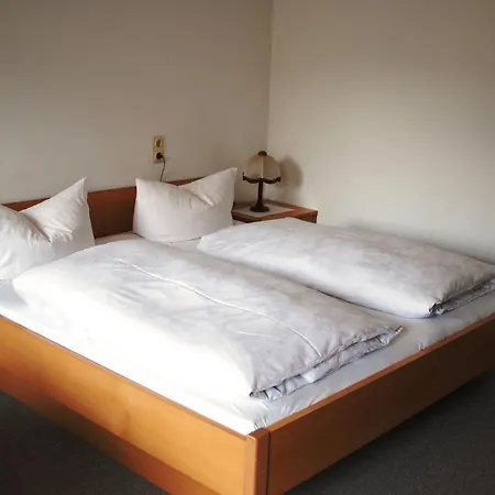 Guest house Alpina 3*