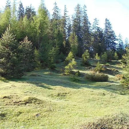 Alpina Guest house 3*