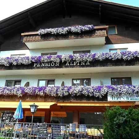 Guest house Alpina 3*