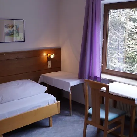 Alpina Guest house 3*