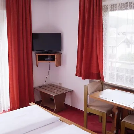 Guest house Alpina