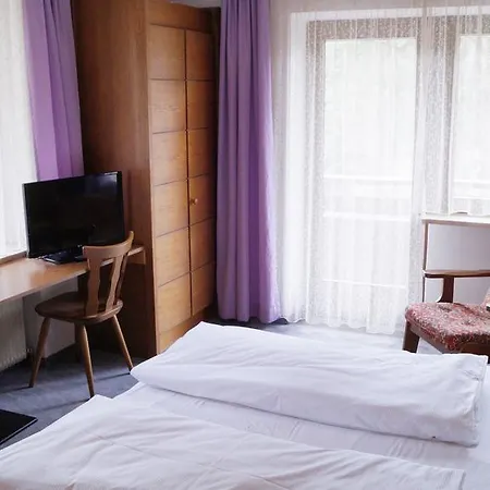 Guest house Alpina 3*