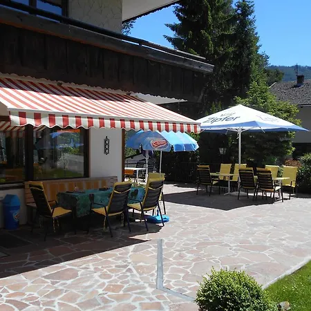 Guest house Alpina 3*